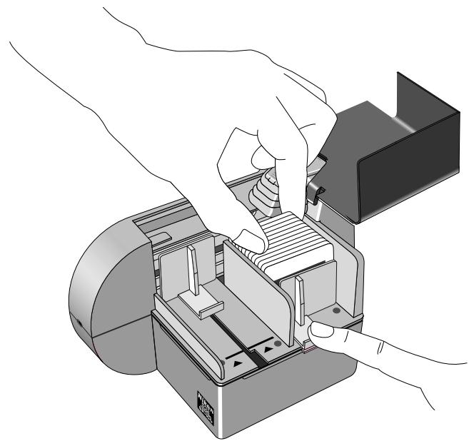 NIKON SF-100 - Step 2 - 1