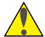 NIKON SF-100 - Trademark Information - 1