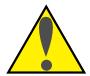 NIKON SF-100 - ATTENTION - 1