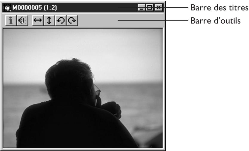 NIKON VIEW - La barre d'état - 2