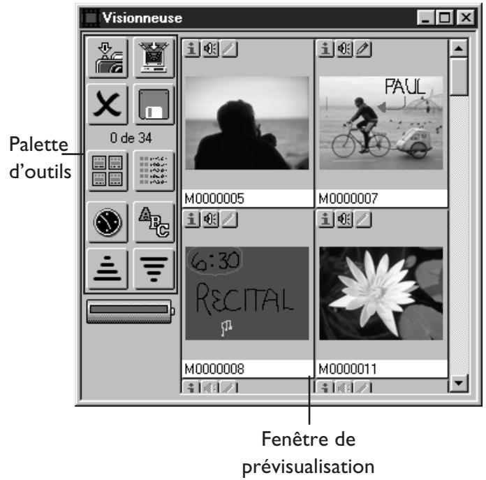 NIKON VIEW - La fenêtre butineur - 1