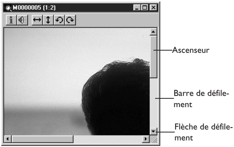 NIKON VIEW - Faire défiler et redimensionner la fenêtre document - 1