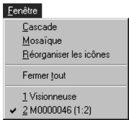 NIKON VIEW - Le menu fenêtre - 1