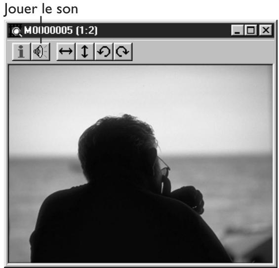 NIKON VIEW - Rejouer des enregistrements sonores - 1