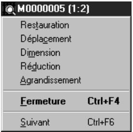 NIKON VIEW - Le menu de contrôle de la fenêtre document - 1