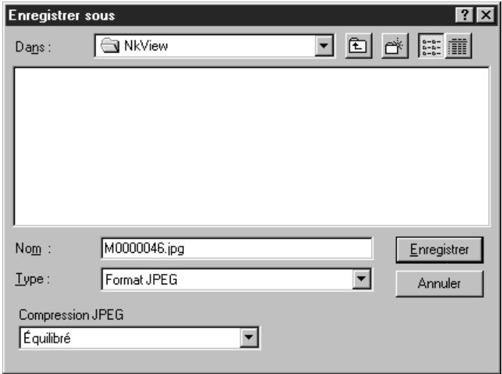 NIKON VIEW - Enregistrer les documents - 2