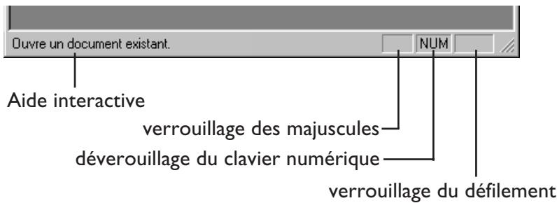 NIKON VIEW - La barre d'état - 1