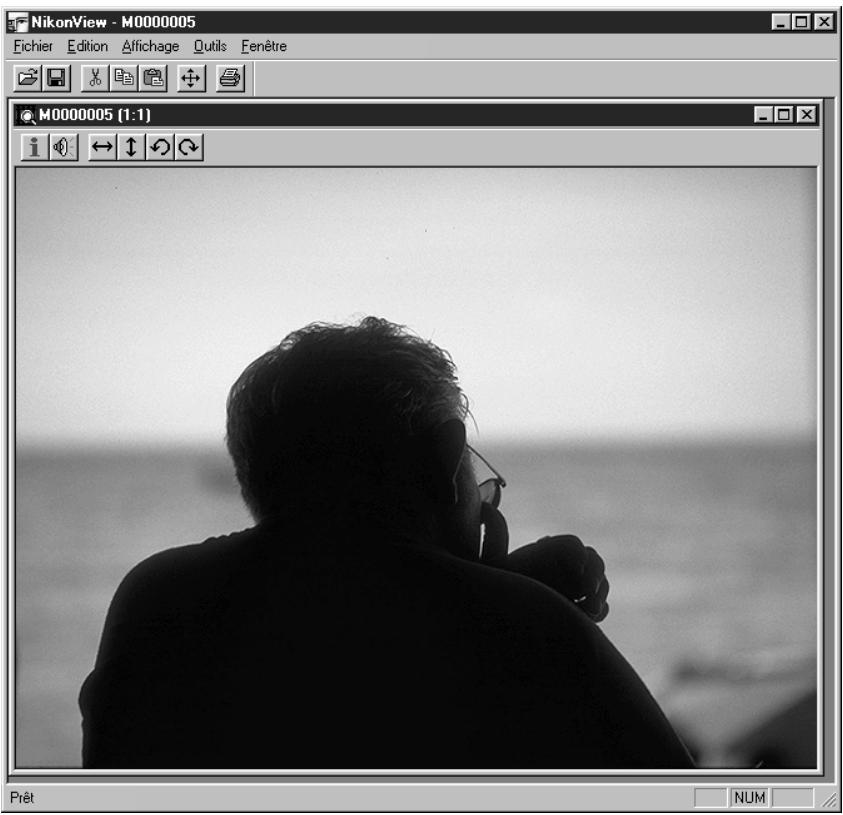 NIKON VIEW - Faire défiler et redimensionner la fenêtre document - 4