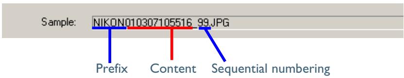 NIKON VIEW 4.1.1 - Sample - 1