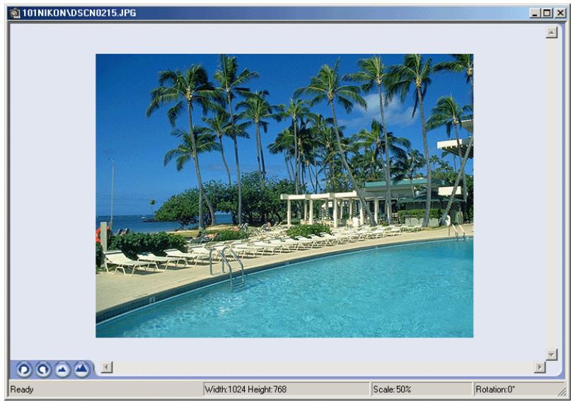 NIKON VIEW 4.1.1 - Viewing Still Images - 1
