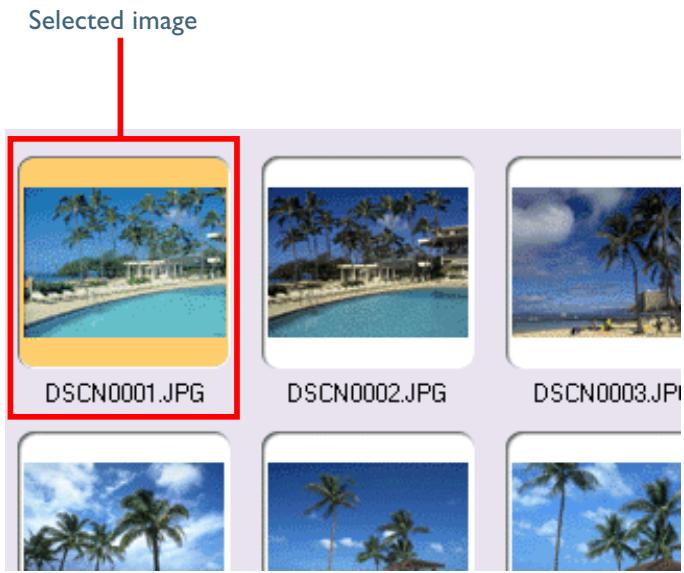 NIKON VIEW 4.1.1 - Step 3—Select images - 1