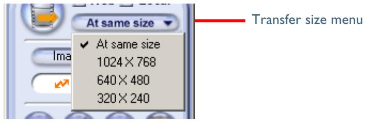 NIKON VIEW 4.1.1 - Step 4—Choose an image size - 1