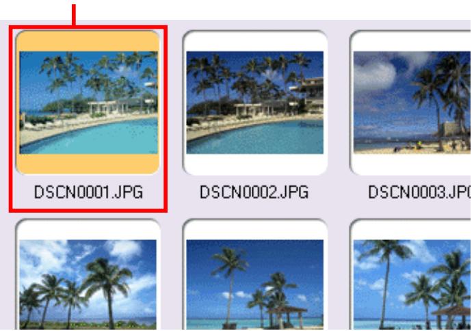NIKON VIEW 4.1.1 - Selected image - 1