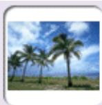 NIKON VIEW 4.1.1 - Specifying Thumbnail Size - 5
