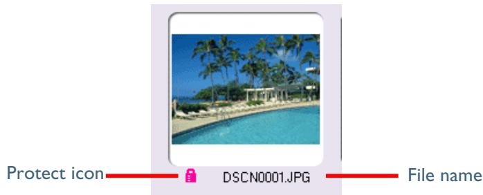 NIKON VIEW 4.1.1 - File Status - 3