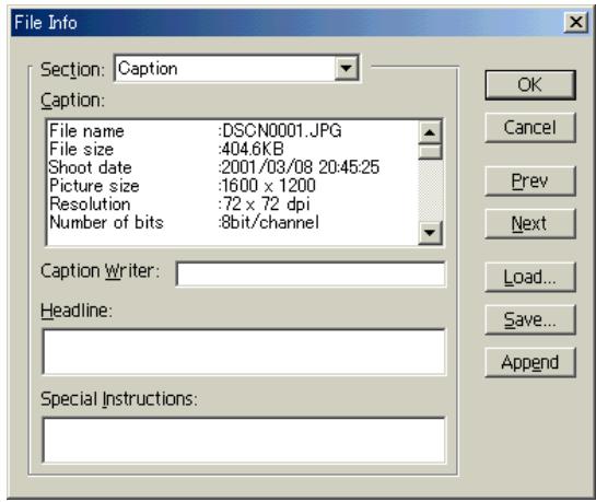 NIKON VIEW 4.1.1 - Copy camera settings to caption - 2