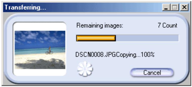 NIKON VIEW 4.1.1 - Step 5—Transfer the images - 2