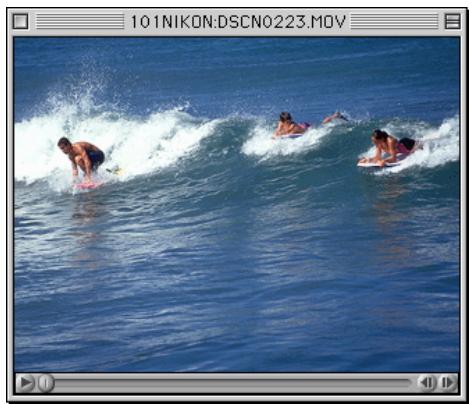 NIKON VIEW 4.1.1 - Macintosh - 1