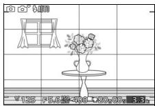 NIKON 1 J3 - The Framing Grid - 1