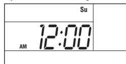 AEG-ELECTROLUX LUX CAG1500 - SETTING THE TIME AND DAY: - 1