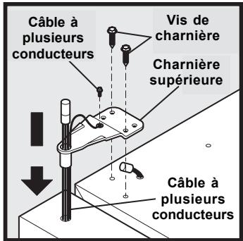 AEG-ELECTROLUX ERL6297XX0 - Pour déposer la porte du congélateur : - 2