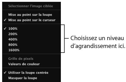 APPLE APERTURE 1.5 - Modification de la taille de la loupe centrée et de son degré d'agrandissement - 1