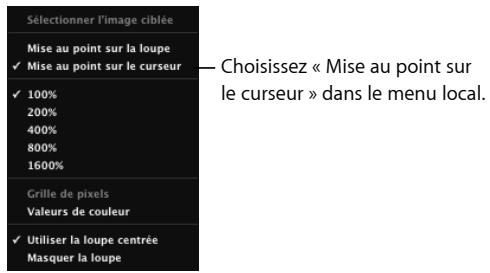 APPLE APERTURE 1.5 - Utilisation du pointeur pour agrandir des parties d'une image - 2