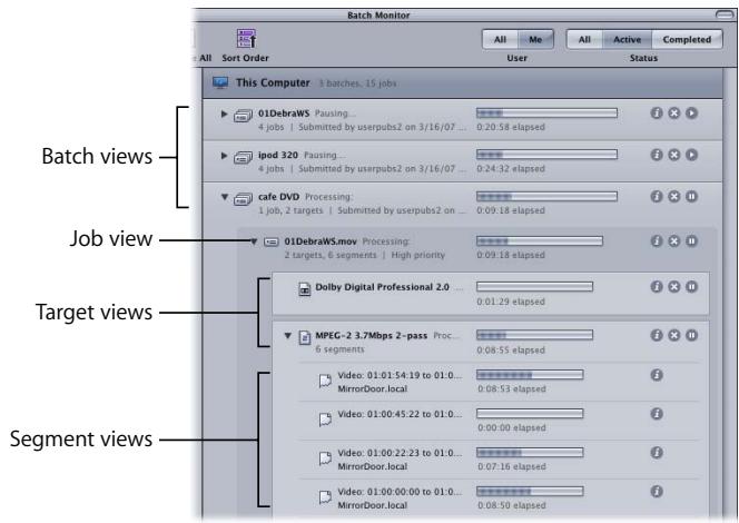 APPLE BATCH MONITOR - Batch Display - 1