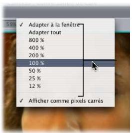 APPLE FINAL CUT EXPRESS 4 - Application d'un zoom avant dans le Canevas - 1