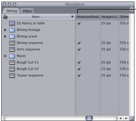 APPLE FINAL CUT EXPRESS 4 - Pour sélectionner la propriété Anamorphosé d'un plan : - 2