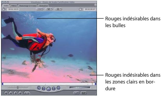 APPLE FINAL CUT EXPRESS 4 - Exemple : utilisation du filtre Désaturer les tons clairs - 1