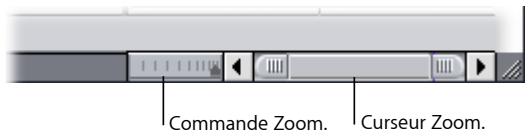 APPLE FINAL CUT EXPRESS 4 - Contrôles de l'onglet Filtres du Visualiseur - 4