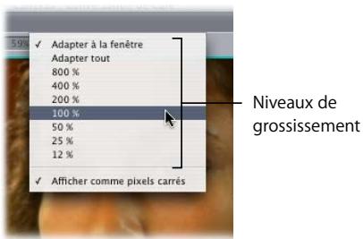APPLE FINAL CUT PRO 6 - Application d'un zoom avant dans le Canevas - 1