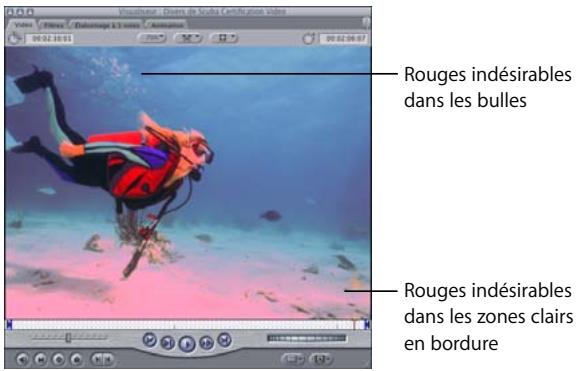 APPLE FINAL CUT PRO 6 - Exemple : utilisation du filtre Désaturer les tons clairs - 1