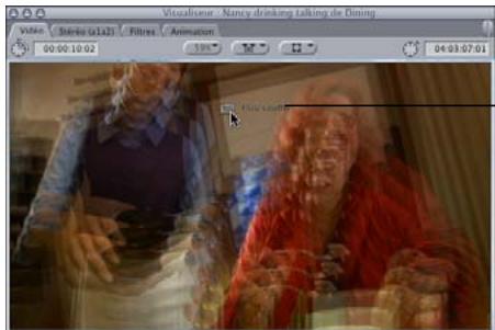 APPLE FINAL CUT PRO 6 - Application d'un filtre à un plan - 3