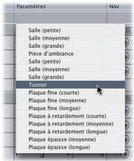 APPLE FINAL CUT PRO 6 - Filtres Écho et Réverbération - 2