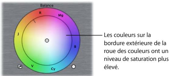 APPLE FINAL CUT PRO 6 - Saturation - 1