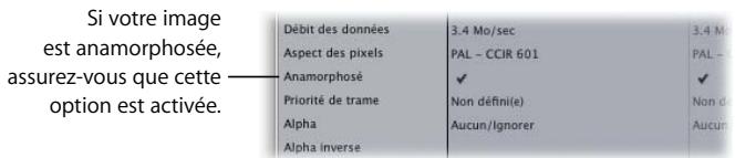 APPLE FINAL CUT PRO 6 - Modification des propriétés de plan pour des données anamorphosées - 1