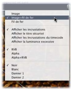 APPLE FINAL CUT PRO 6 - Étape 4 : Préparation des réglages du Visualiseur et du Canevas - 1