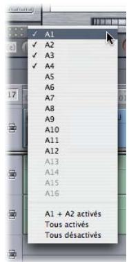 APPLE FINAL CUT PRO 6 - Contrôles de la piste de destination - 2