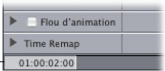 APPLE FINAL CUT PRO 6 - Exemple : modification d'opacité à l'aide des images clés - 4