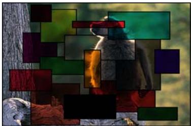 APPLE FINAL CUT PRO 6 - Différence - 2