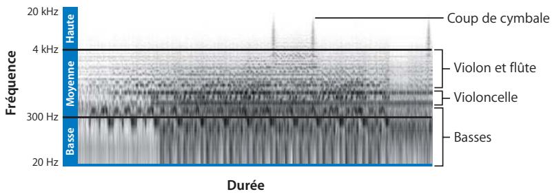 APPLE FINAL CUT PRO 6 - Spectre des fréquences acoustiques - 1