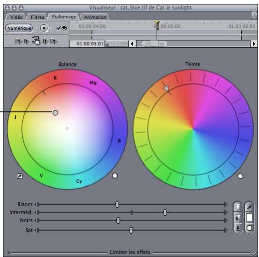 APPLE FINAL CUT PRO 6 - Exemple : utilisation du filtre Étalonnage - 8