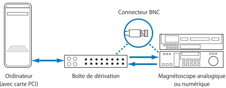 APPLE FINAL CUT PRO 6 - Carte d'interface vidéo PCI avec boîte de dérivation - 1