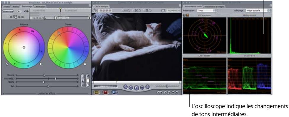 APPLE FINAL CUT PRO 6 - Exemple : utilisation du filtre Étalonnage - 5