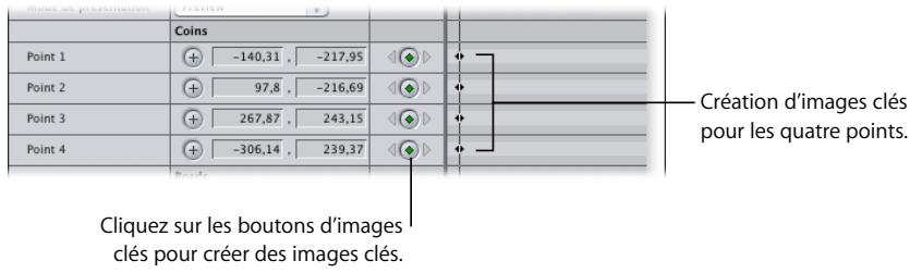 APPLE FINAL CUT PRO 6 - Exemple : transformation des Cache patates en images clés - 1