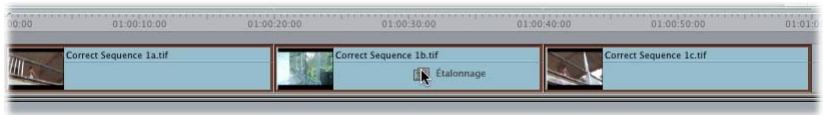 APPLE FINAL CUT PRO 6 - Exemple : harmonisation des couleurs d'une séquence de trois plans - 1