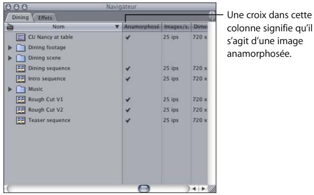 APPLE FINAL CUT PRO 6 - Modification des propriétés de plan pour des données anamorphosées - 2