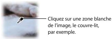 APPLE FINAL CUT PRO 6 - Exemple : utilisation du filtre Étalonnage - 7